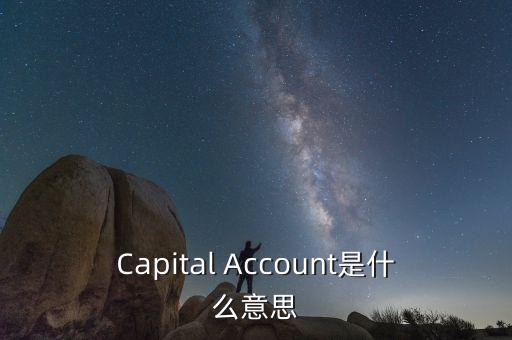 Capital Account是什么意思