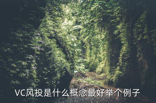 vc行業(yè)是什么意思，VC是什么意思