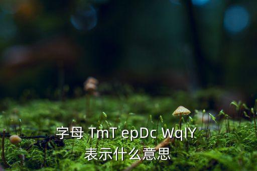 字母 TmT epDc WqIY 表示什么意思