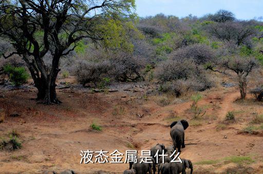 液態(tài)金屬是什么