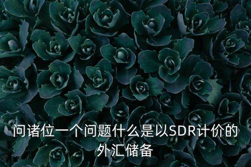 問諸位一個問題什么是以SDR計價的外匯儲備