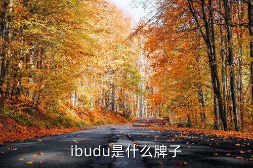 ibudu是什么牌子