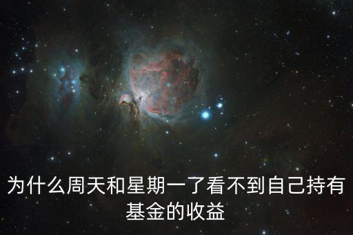 為什么周天和星期一了看不到自己持有基金的收益