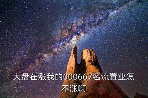 000667基金為什么不漲，大盤在漲我的000667名流置業(yè)怎不漲啊