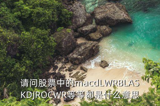 請(qǐng)問(wèn)股票中的macdLWRBLASKDJROCWR等等都是什么意思