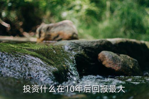 投資什么年回報(bào)10，投資什么在10年后回報(bào)最大