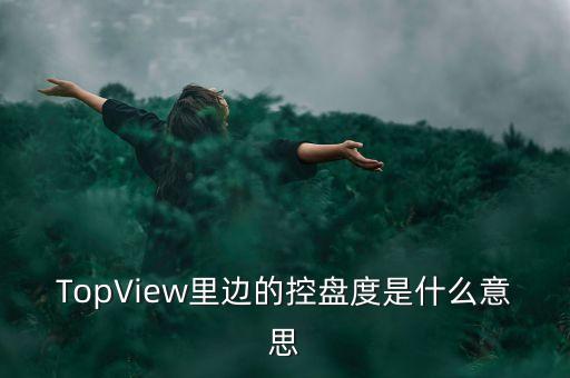 TopView里邊的控盤(pán)度是什么意思