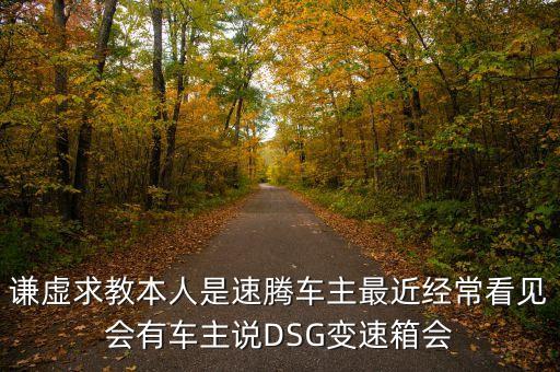 謙虛求教本人是速騰車主最近經(jīng)常看見會有車主說DSG變速箱會