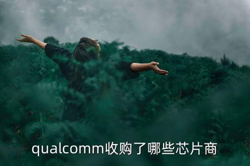 qualcomm收購了哪些芯片商