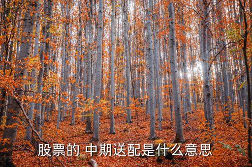 什么是股票中期分紅，中期實(shí)施10送5轉(zhuǎn)25派125元什么意思