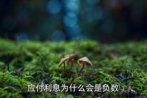 應付利息為什么會是負數(shù)