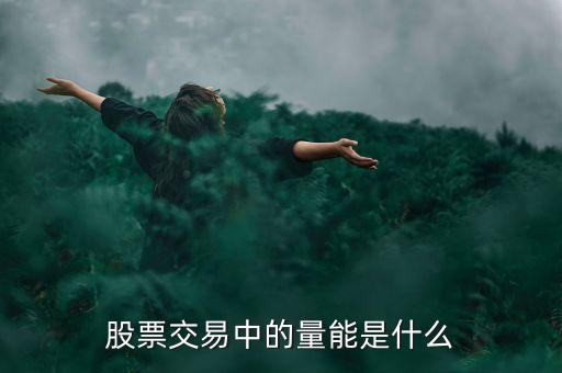 股票交易中的量能是什么