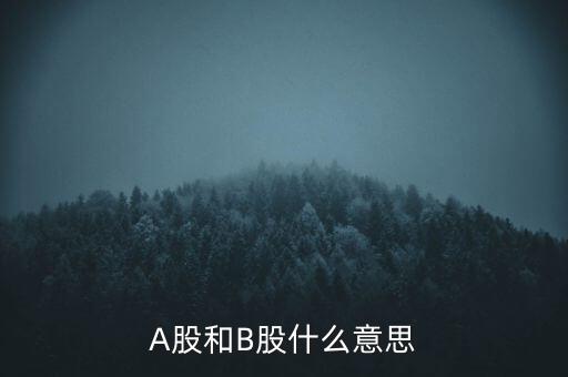 A股和B股什么意思