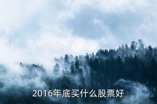 2016年底買什么股票好