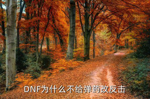 DNF為什么不給彈藥改反擊