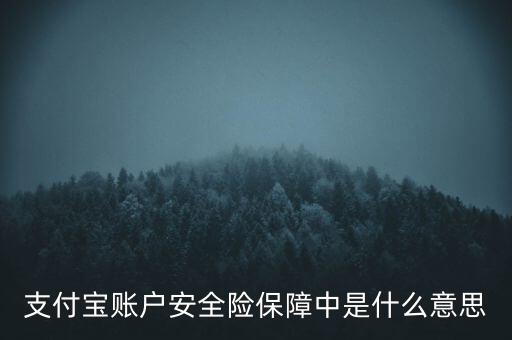 支付寶賬戶安全險保障中是什么意思