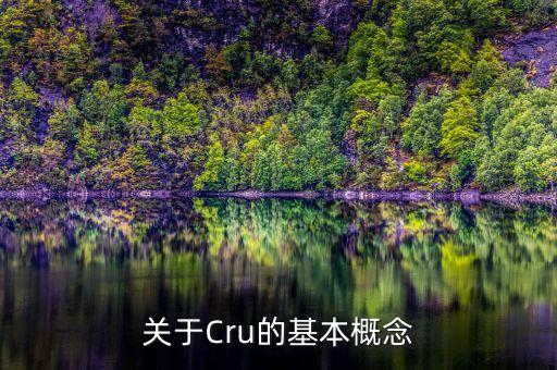 關(guān)于Cru的基本概念