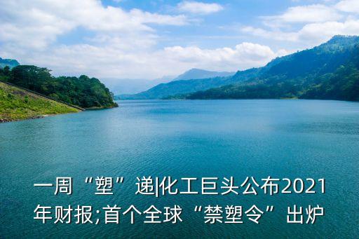 一周“塑”遞|化工巨頭公布2021年財(cái)報(bào);首個(gè)全球“禁塑令”出爐