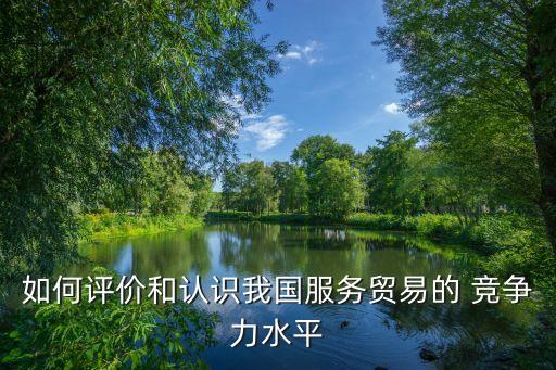 如何評(píng)價(jià)和認(rèn)識(shí)我國服務(wù)貿(mào)易的 競爭力水平