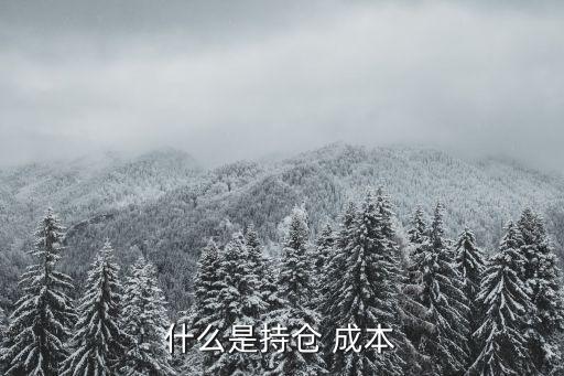 什么是持倉(cāng) 成本