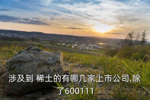 涉及到 稀土的有哪幾家上市公司,除了600111