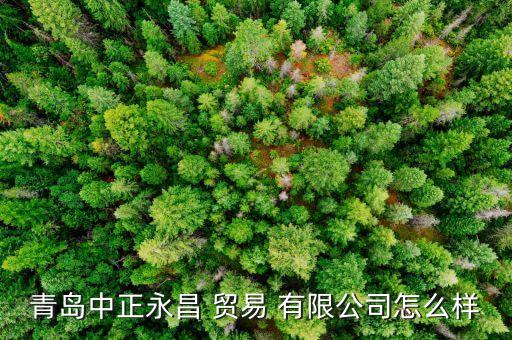 青島中正永昌 貿(mào)易 有限公司怎么樣