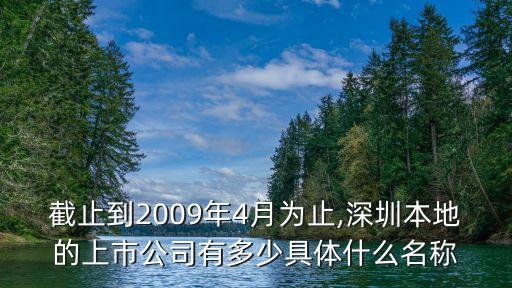 截止到2009年4月為止,深圳本地的上市公司有多少具體什么名稱