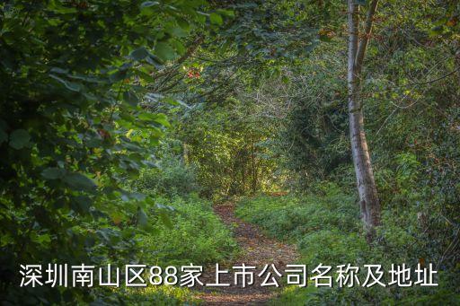 深圳南山區(qū)88家上市公司名稱及地址