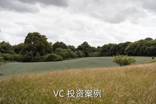 VC 投資案例