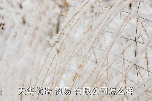 天華優(yōu)瑞 貿(mào)易 有限公司怎么樣