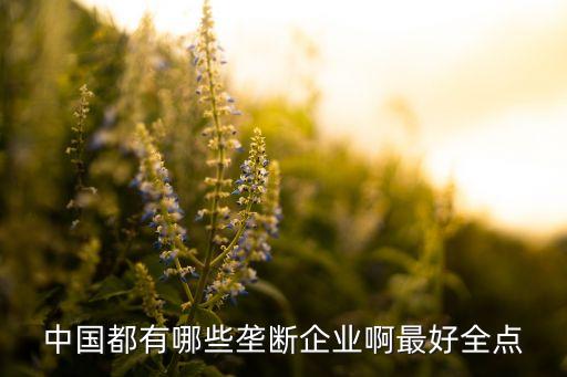 中國華孚貿(mào)易發(fā)展集團(tuán)公司