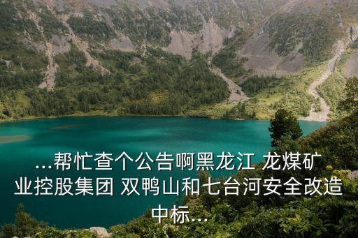 ...幫忙查個(gè)公告啊黑龍江 龍煤礦業(yè)控股集團(tuán) 雙鴨山和七臺河安全改造中標(biāo)...