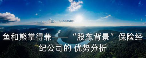 魚和熊掌得兼——“股東背景”保險經(jīng)紀公司的 優(yōu)勢分析