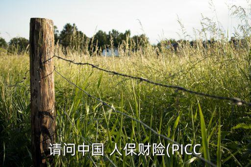 請問中國 人保財險(PICC