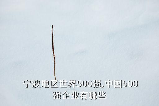  寧波地區(qū)世界500強(qiáng),中國(guó)500強(qiáng)企業(yè)有哪些