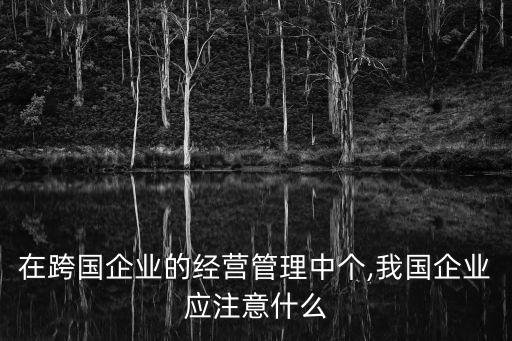 在跨國企業(yè)的經(jīng)營管理中個(gè),我國企業(yè)應(yīng)注意什么