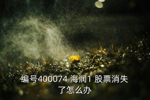 編號(hào)400074 海潤1 股票消失了怎么辦