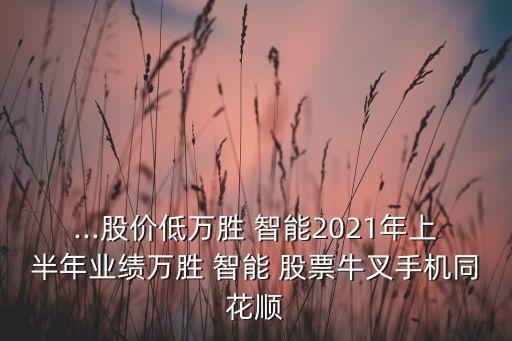 ...股價(jià)低萬(wàn)勝 智能2021年上半年業(yè)績(jī)?nèi)f勝 智能 股票牛叉手機(jī)同花順