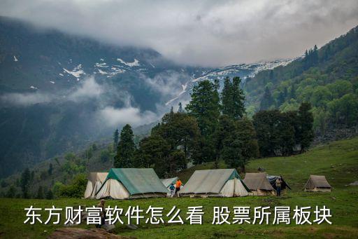 東方財(cái)富軟件怎么看 股票所屬板塊