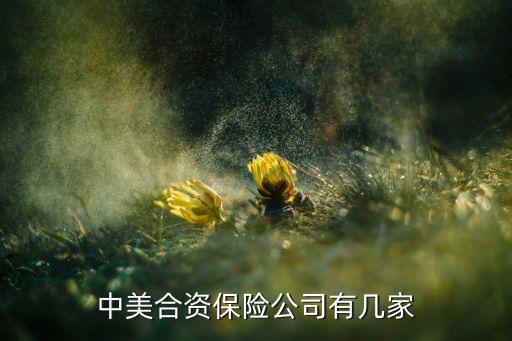 中美合資保險(xiǎn)公司有幾家