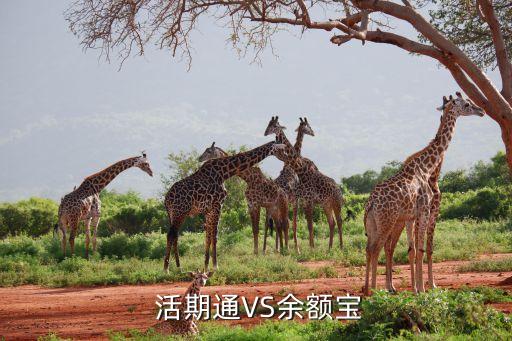 華夏基金活期通利率,活期利率和零錢通哪個(gè)高