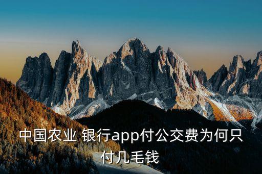 中國農(nóng)業(yè) 銀行app付公交費(fèi)為何只付幾毛錢