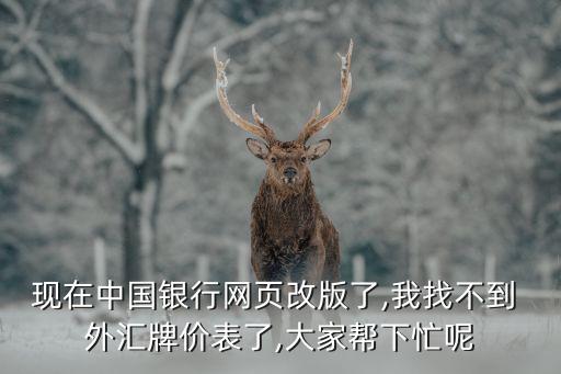 中國外匯首頁網(wǎng)站