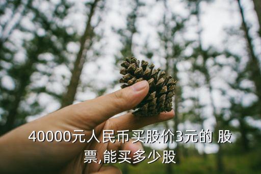 40000元人民幣買股價3元的 股票,能買多少股