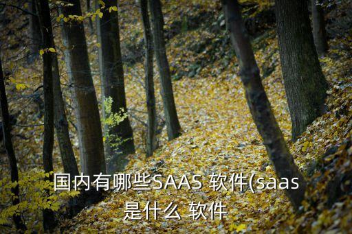 國內(nèi)有哪些SAAS 軟件(saas是什么 軟件