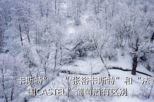 “卡斯特”、“ 張?jiān)？ㄋ固亍焙汀胺▏?guó)CASTEL”葡萄酒有區(qū)別