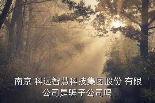  南京 科遠(yuǎn)智慧科技集團(tuán)股份 有限公司是騙子公司嗎