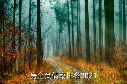 房企負(fù)債率排名2021