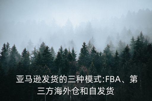  亞馬遜發(fā)貨的三種模式:FBA、第三方海外倉(cāng)和自發(fā)貨