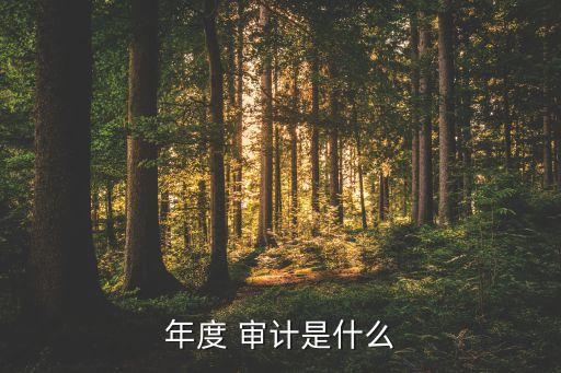 年度 審計是什么